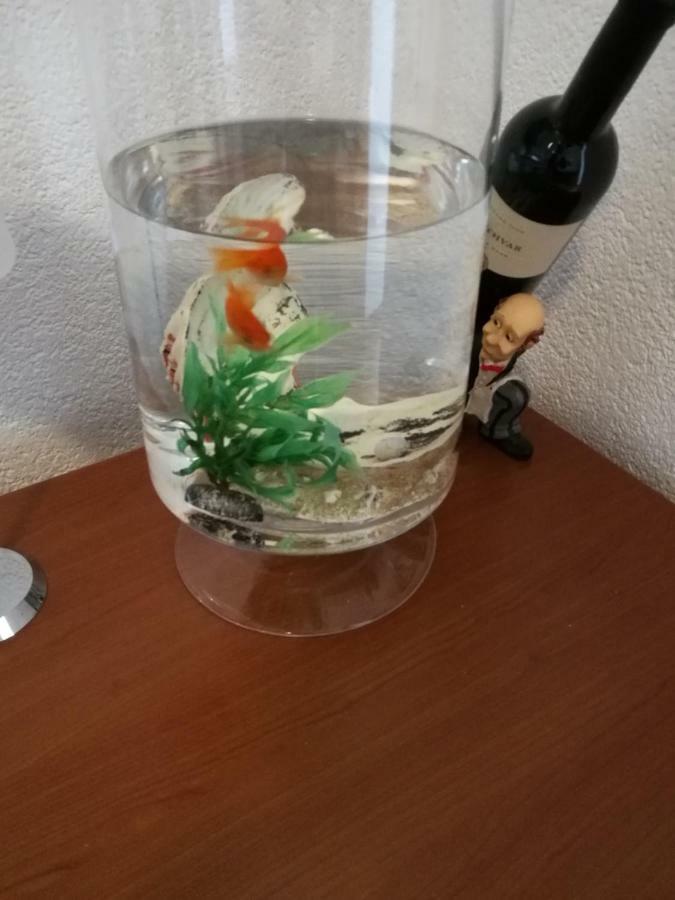 Radun Apartment Split Luaran gambar
